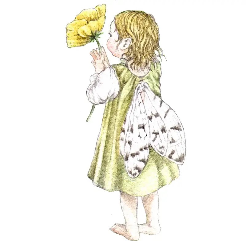 Daisy 1