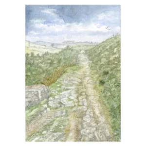 Dr Blackall's Drive