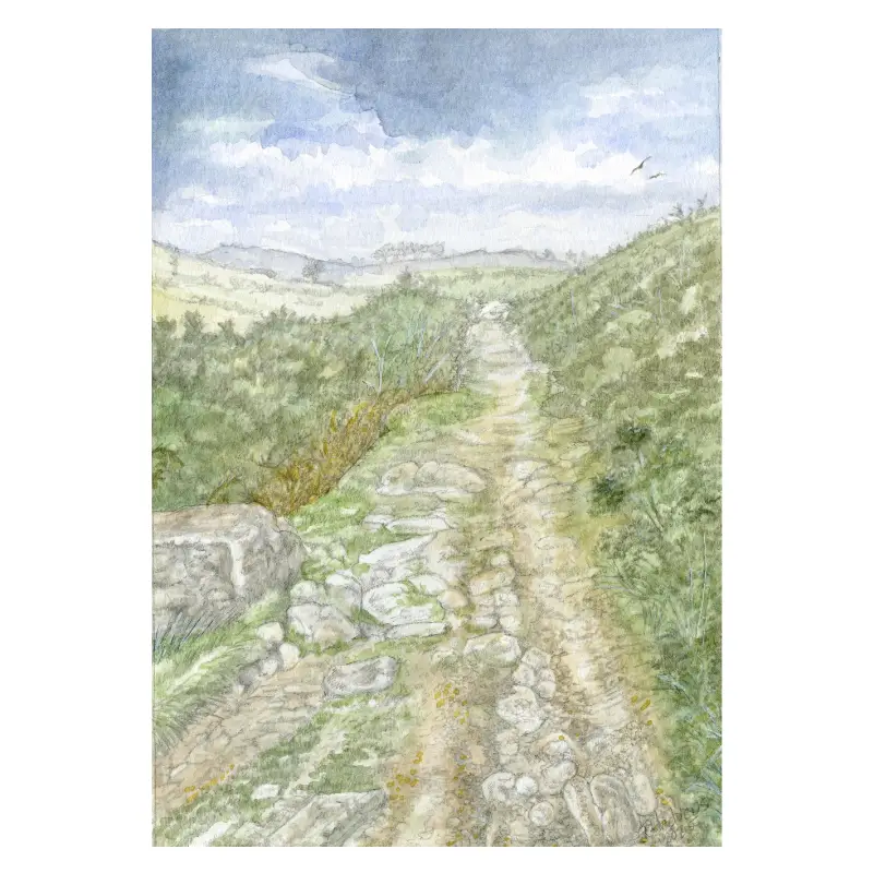 Dr Blackall's Drive