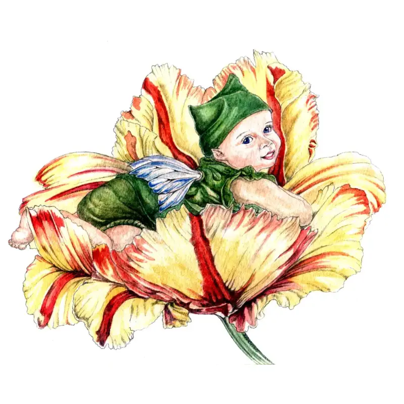 Tulip