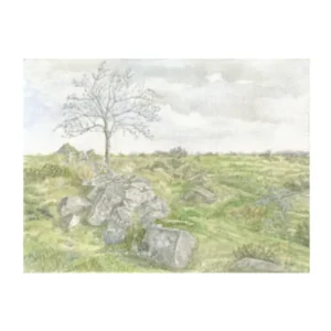 View across Dartmoor near Wistmans Wood, Devon.