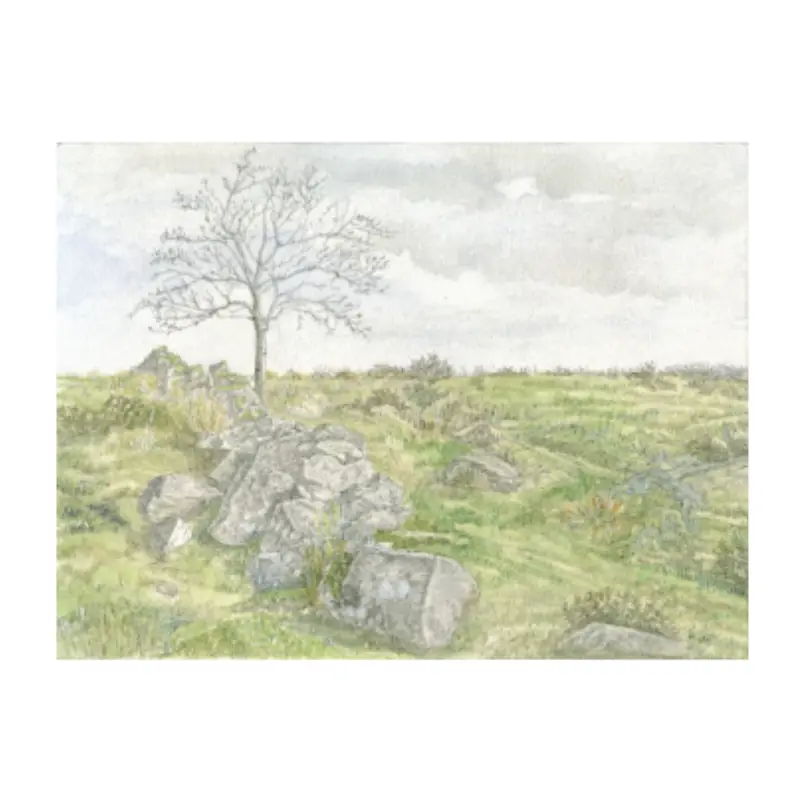 View Across Dartmoor