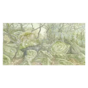 Wistmans Wood